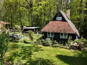 Prodej chaty, Hluboká nad Vltavou, Křivonoska, 70 m2