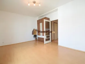 Pronájem bytu 1+1, Praha - Nusle, U gymnázia, 54 m2
