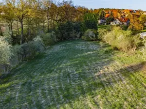 Prodej pozemku pro bydlení, Svojetín, 3831 m2
