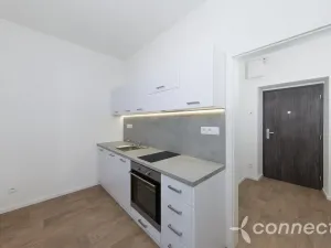 Pronájem bytu 1+1, Přerov - Přerov I-Město, Husova, 29 m2