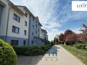 Pronájem bytu 2+1, Olomouc, Horní lán, 78 m2