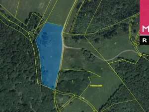 Prodej louky, Stráž nad Ohří, 9519 m2