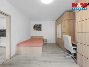 Prodej bytu 1+1, Ústí nad Labem - Severní Terasa, Maková, 33 m2