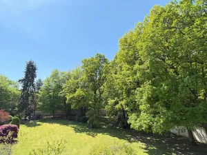 Pronájem vily, Nový Knín, 450 m2