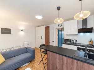 Pronájem bytu 1+kk, Jihlava, Čajkovského, 24 m2