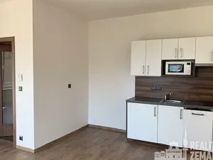 Pronájem bytu 1+kk, Praha - Michle, Hanusova, 37 m2