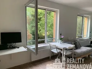 Pronájem bytu 1+kk, Praha - Michle, Hanusova, 37 m2
