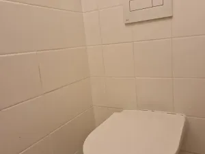Pronájem obchodního prostoru, Šlapanice, Nádražní, 187 m2