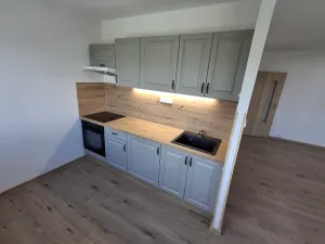 Pronájem bytu 1+kk, Most, Javorová, 35 m2