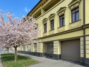 Prodej bytu 2+kk, Brno, Hálkova, 55 m2