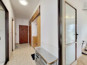 Prodej bytu 2+1, Brno, Došlíkova, 52 m2