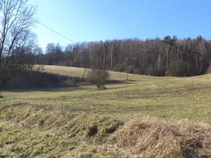 Prodej pozemku, Úštěk - Tetčiněves, 4600 m2