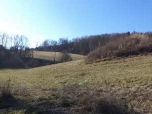 Prodej pozemku, Úštěk - Tetčiněves, 4600 m2