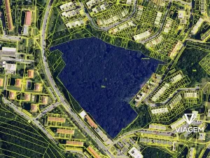 Prodej podílu lesa, Brno, 4190 m2
