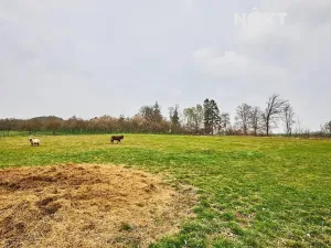 Prodej pozemku pro bydlení, Předslavice, 8407 m2