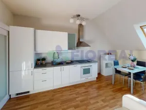 Pronájem bytu 1+kk, Praha - Vinohrady, Lublaňská, 41 m2