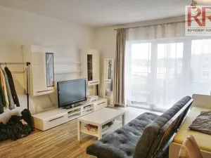 Pronájem bytu 1+kk, Plzeň, U Borských kasáren, 40 m2