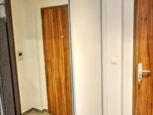 Pronájem bytu 1+kk, Plzeň, U Borských kasáren, 40 m2