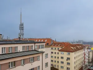 Pronájem bytu 1+1, Praha - Žižkov, Baranova, 49 m2