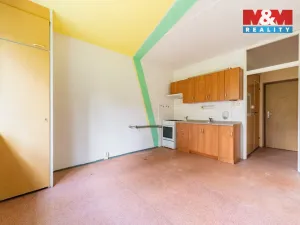 Prodej bytu 1+1, Aš, Neumannova, 39 m2