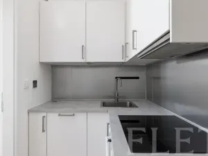 Pronájem bytu 1+kk, Praha - Žižkov, Milíčova, 29 m2