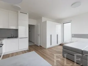 Pronájem bytu 1+kk, Praha - Kamýk, Hodkovická, 35 m2