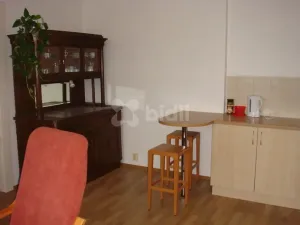Pronájem bytu 1+1, Praha - Libeň, U Vlachovky, 40 m2