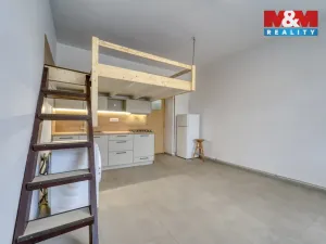 Prodej bytu 1+kk, Praha - Žižkov, V domově, 24 m2
