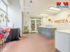 Pronájem obchodního prostoru, Praha - Smíchov, Staropramenná, 48 m2