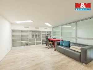 Pronájem obchodního prostoru, Praha - Smíchov, Staropramenná, 48 m2