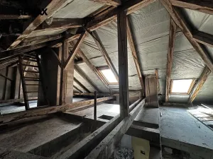 Prodej bytu 3+kk, Praha - Žižkov, Baranova, 117 m2