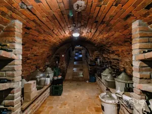 Prodej vinného sklepa, Prušánky, Nechory, 80 m2