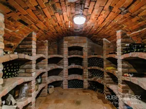 Prodej vinného sklepa, Prušánky, Nechory, 80 m2