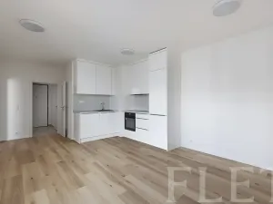 Pronájem bytu 2+kk, Praha - Kamýk, Hodkovická, 47 m2