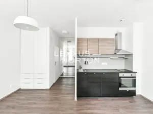 Pronájem bytu 1+kk, Praha - Vinohrady, Lucemburská, 30 m2
