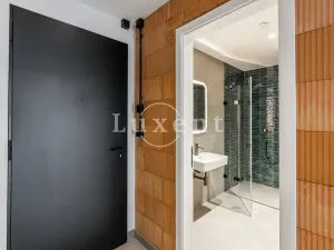 Pronájem bytu 1+kk, Praha - Radlice, Pechlátova, 50 m2