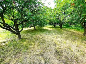 Prodej pozemku pro bydlení, Načeradec, 620 m2