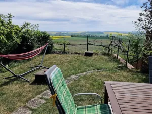 Prodej chaty, Viničné Šumice, 100 m2