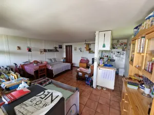 Prodej chaty, Viničné Šumice, 100 m2