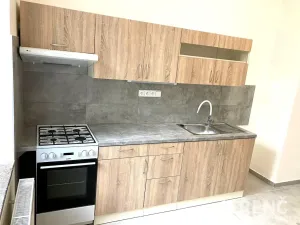 Pronájem bytu 2+1, Brno, Štefánikova, 56 m2