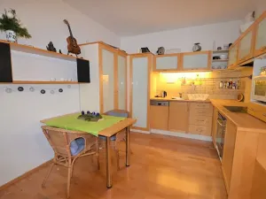 Pronájem bytu 1+kk, Praha - Podolí, Brabcova, 43 m2