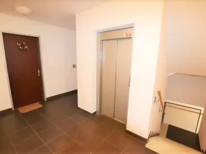 Pronájem bytu 1+kk, Praha - Podolí, Brabcova, 43 m2