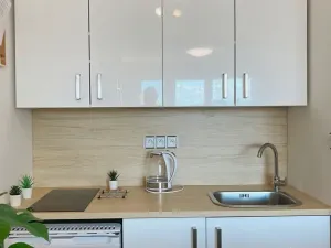Pronájem bytu 1+kk, Ostrava, Zdeňka Štěpánka, 27 m2