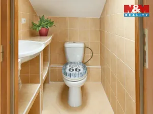 Prodej rodinného domu, Hradištko, Slunná, 130 m2