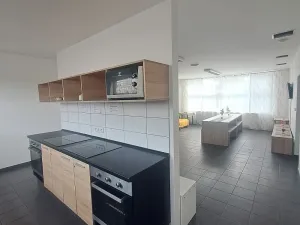Pronájem bytu 1+kk, Hranice - Hranice I-Město, Potštátská, 30 m2
