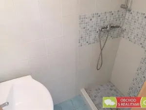 Pronájem bytu 2+kk, Praha, Zikova, 49 m2