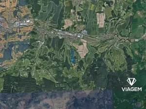 Prodej podílu lesa, Lípa, 2780 m2