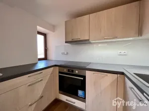 Pronájem bytu 2+kk, Brno - Veveří, Veveří, 65 m2