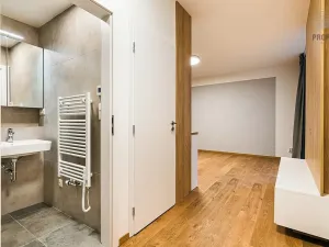 Pronájem bytu 3+kk, Brno, Stavební, 57 m2