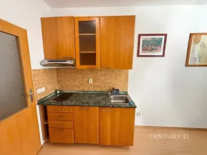 Pronájem bytu 1+kk, Praha - Libeň, Kurta Konráda, 29 m2